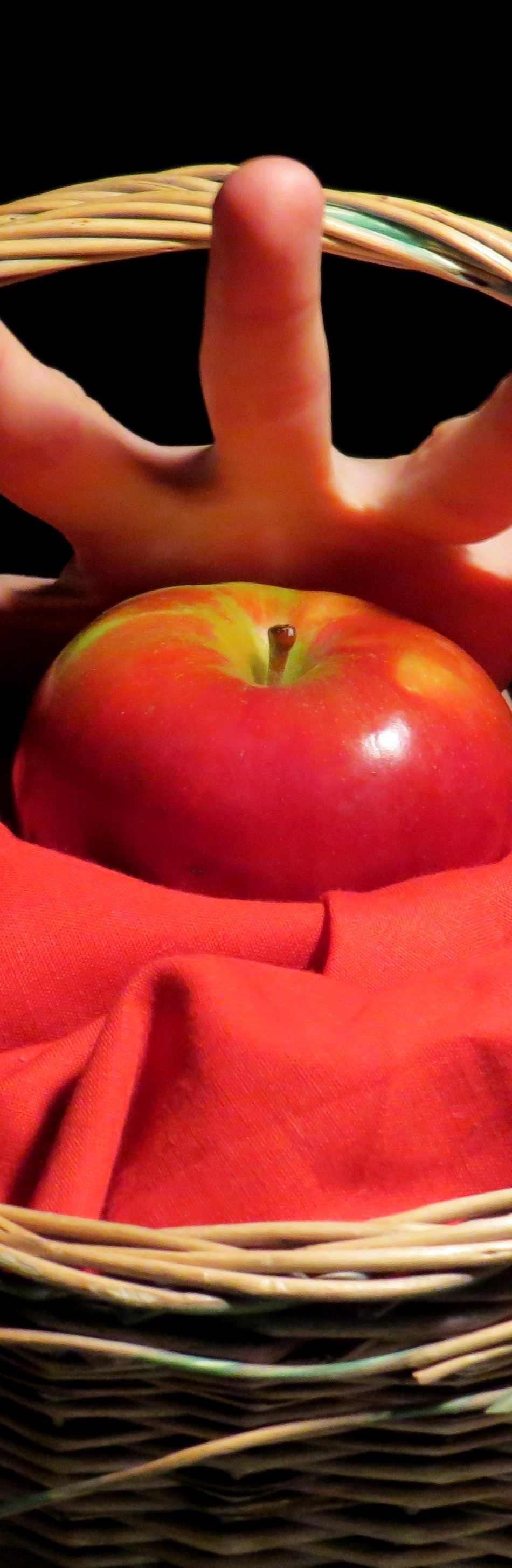 Chaperon-1-retouché