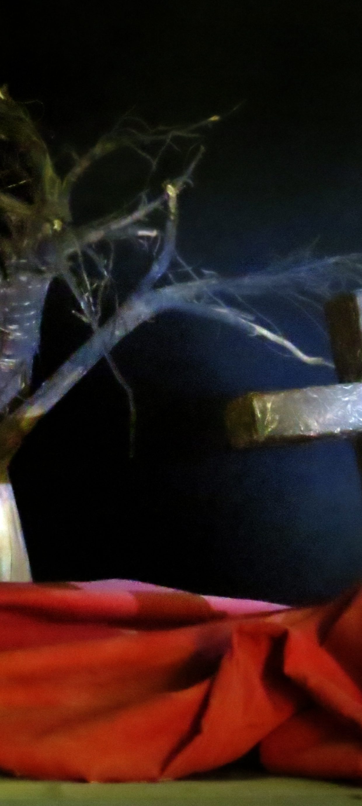 Chaperon-4-retouchée