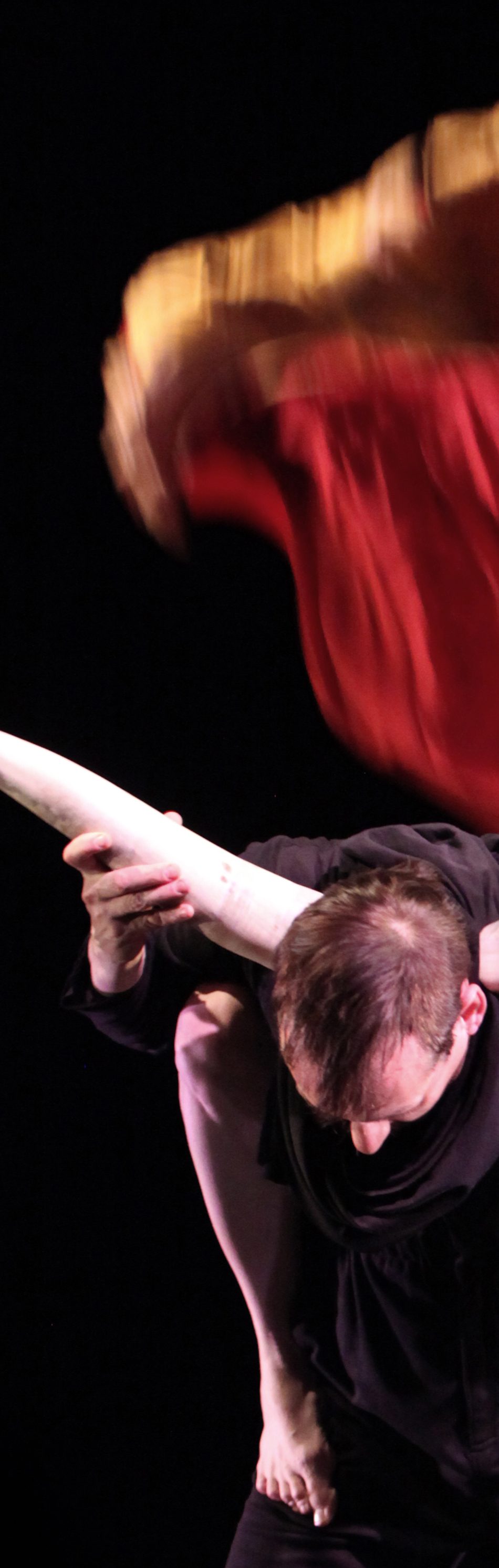 daidalos_boran-richard-modif