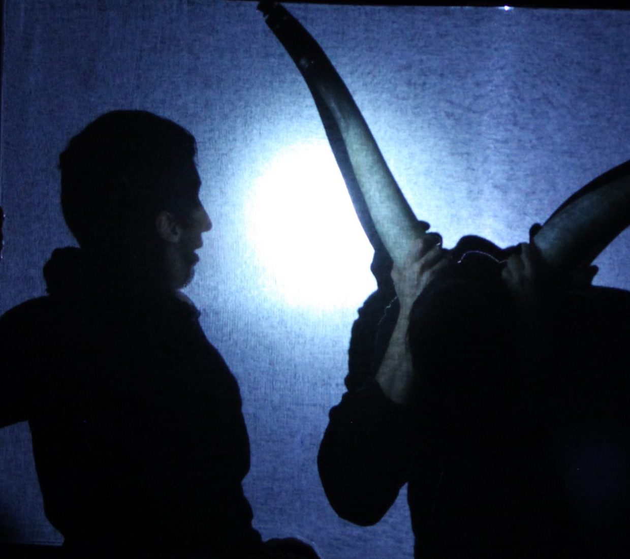 Daïdalos_boran-Richard7